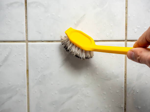 Best Mold Cleaning Services  in Milton, WA